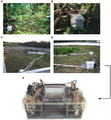 IntelliCage: the development and perspectives of a mouse- and user-friendly automated behavioral test system